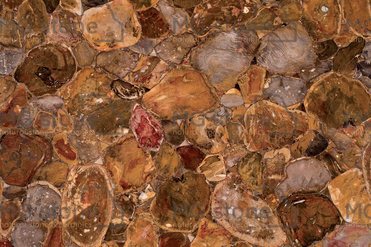 Полудрагоценные камни Australian Petrified Wood