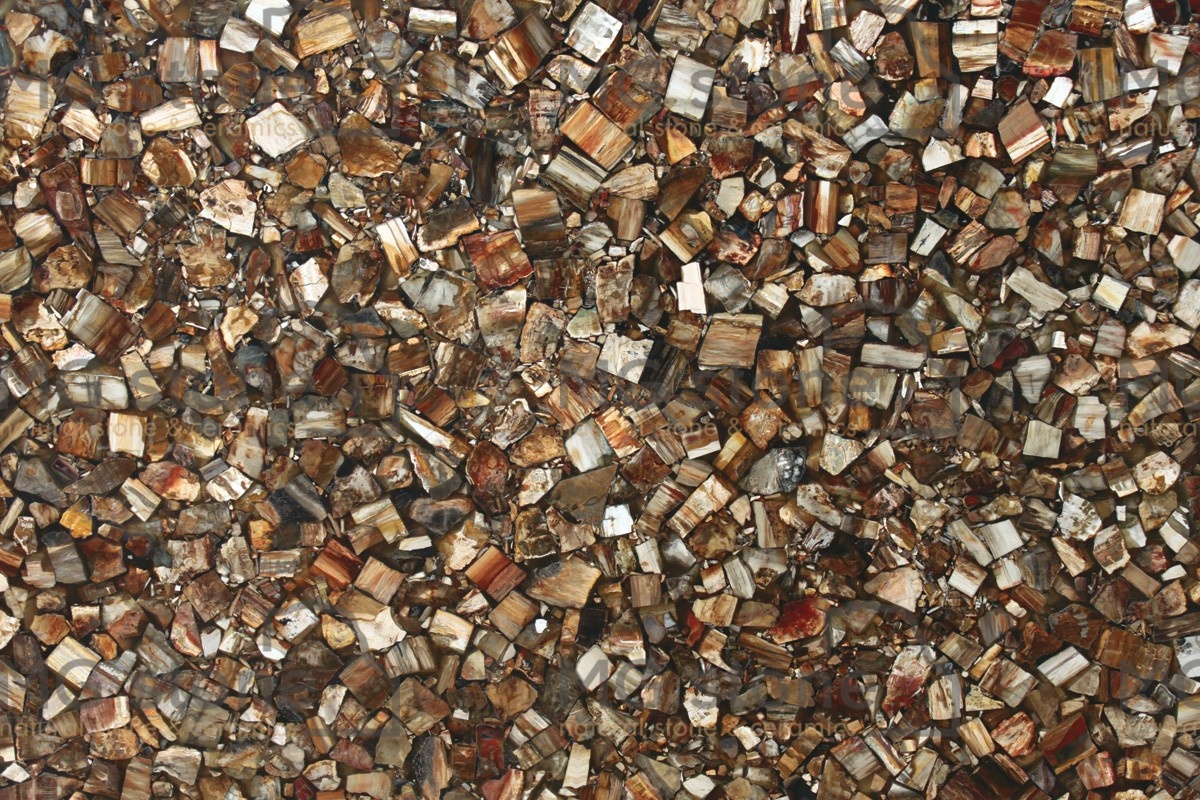 Полудрагоценные камни Brown Petrified Wood