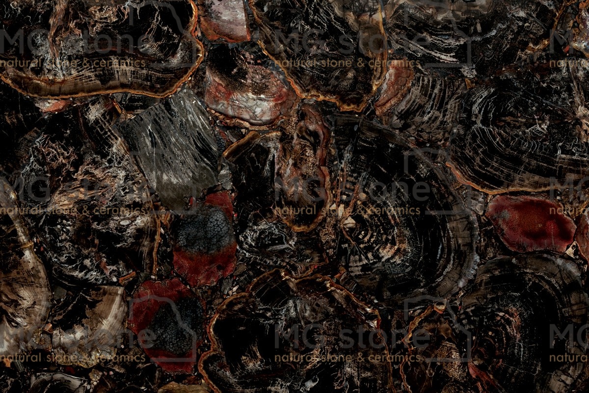 Полудрагоценные камни Black Petrified Wood