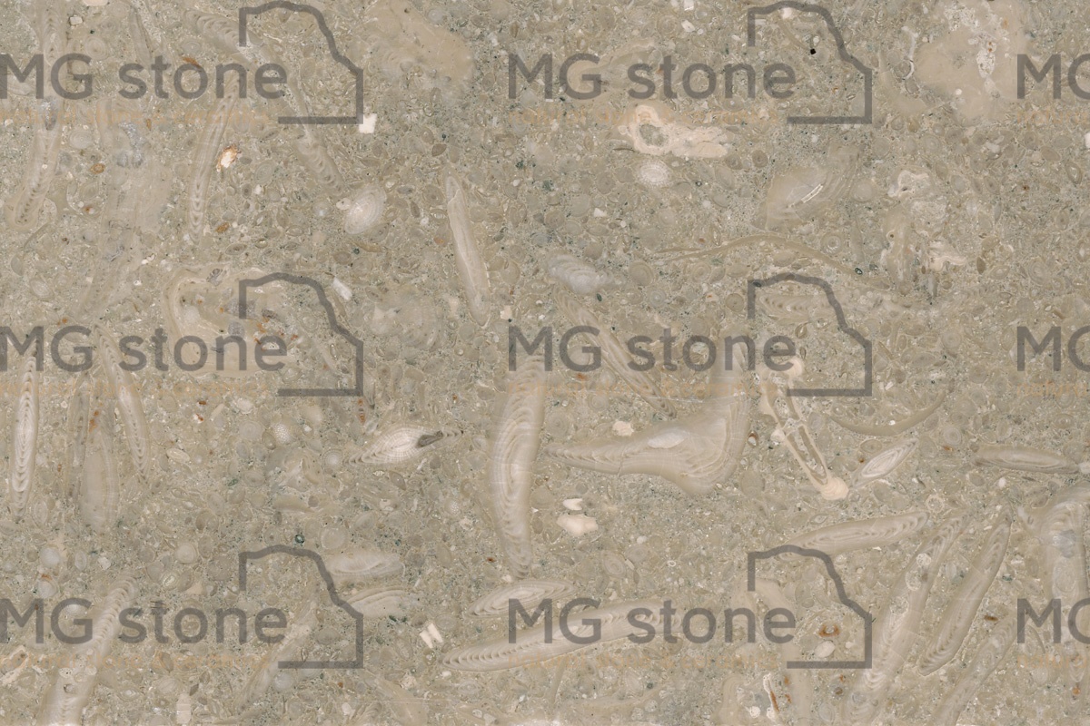 Известняк Fossil Limestone